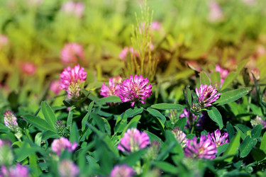 Similar image 7871037