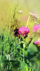 Similar image 7871048