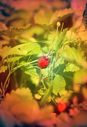 Similar image 7871153