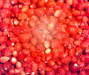 Similar image 7871154