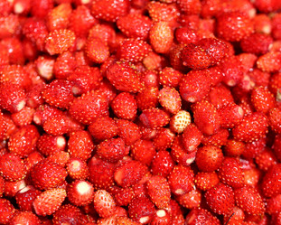 Similar image 7871156