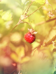 Similar image 7871157