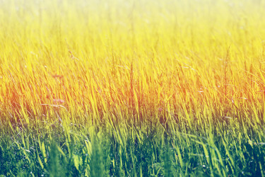 Similar image 7871159