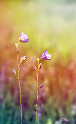 Similar image 7871160