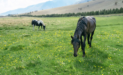 Similar image 7871262