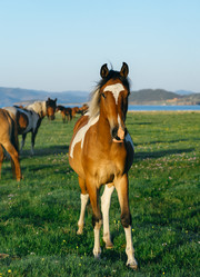 Similar image 7871264