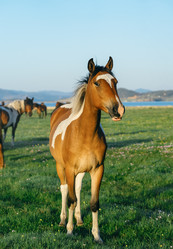 Similar image 7871265