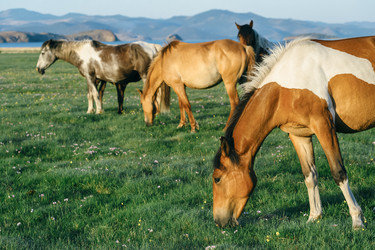 Similar image 7871266