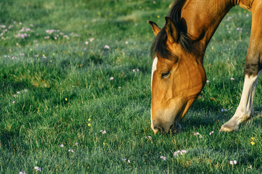 Similar image 7871267