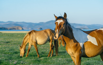 Similar image 7871268