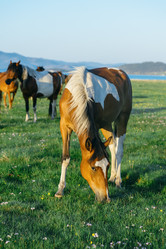 Similar image 7871269