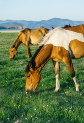 Similar image 7871270