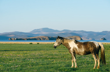 Similar image 7871271