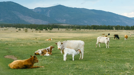 Similar image 7871274