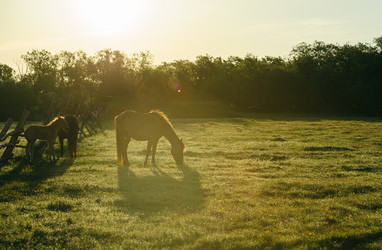 Similar image 7871280