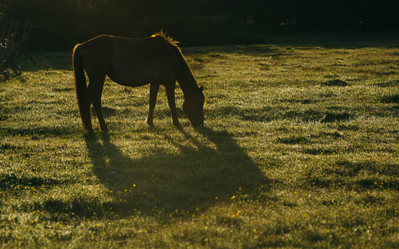 Similar image 7871281