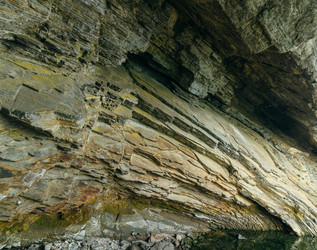 Similar image 7871296