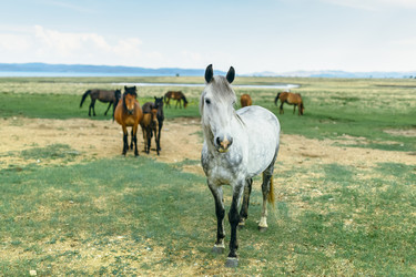 Similar image 7871299