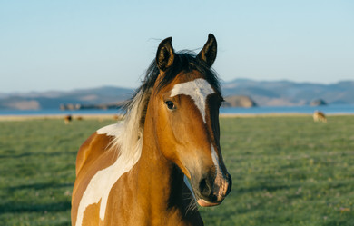 Similar image 7871302