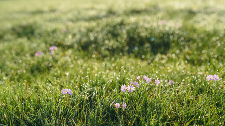 Similar image 7871310