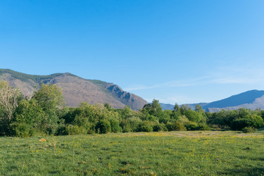 Similar image 7871311