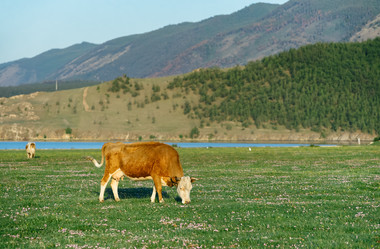 Similar image 7871313