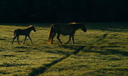 Similar image 7871314