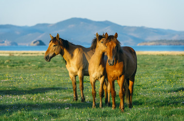 Similar image 7871317