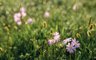 Similar image 7871319