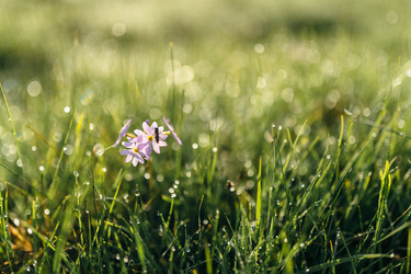 Similar image 7871321