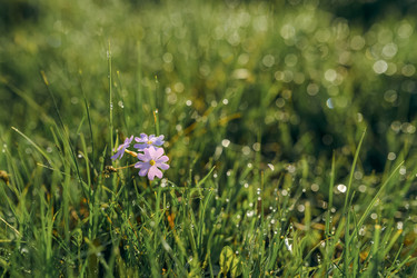 Similar image 7871340