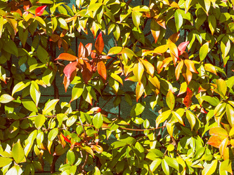 Similar image 7871412