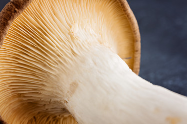 Similar image 7871489