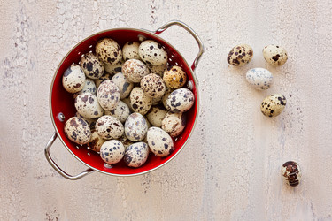 Similar image 7871551