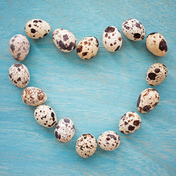 Similar image 7871552