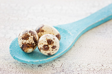 Similar image 7871554