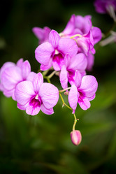 Similar image 7871594