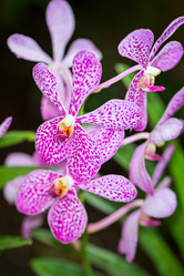 Similar image 7871595