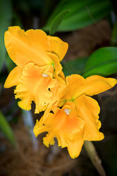 Similar image 7871616