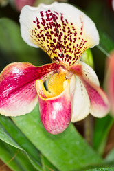 Similar image 7871617