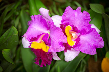 Similar image 7871618