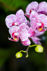 Similar image 7871621