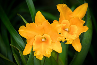 Similar image 7871634