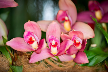 Similar image 7871635