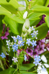 Similar image 7871944