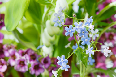 Similar image 7871949