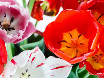 Similar image 7871960