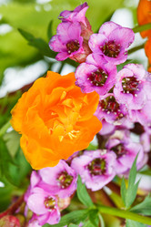 Similar image 7871963