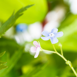 Similar image 7871978