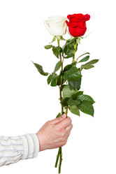 Similar image 7871988